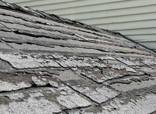 Highly Recommended Seattle Roofing Company for Homeowners