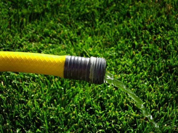 Dependable Drain Field Solutions Across Loganville